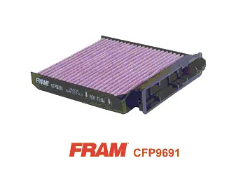 Filter, cabin air (CFP9691)