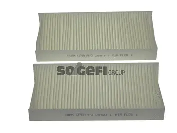 Filter, cabin air (CF9819-2)