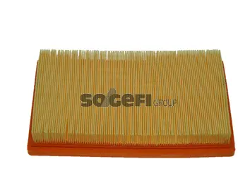 Air Filter (CA3997)