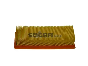 Air Filter (CA5519)