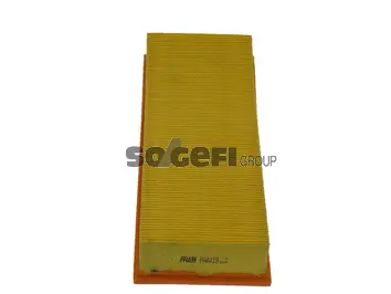 Air Filter (PA4419)