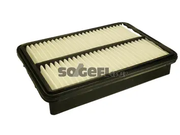 Air Filter (CA10086)