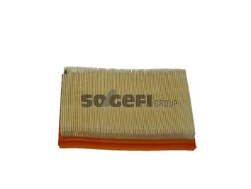 Air Filter (CA9494)