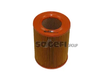 Air Filter (CA4979)