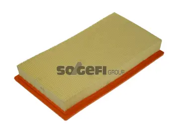 Air Filter (CA10242)