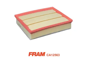 Air Filter (CA12563)