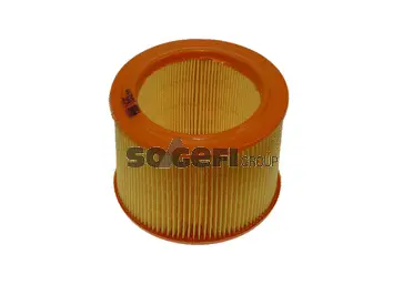Air Filter (CA5456)