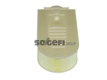 Air Filter (CA10877)