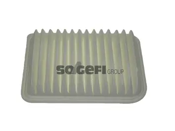 Air Filter (CA10910)