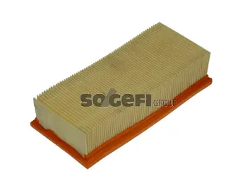 Air Filter (CA3144)