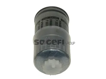 Fuel Filter (P5651)