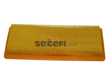 Air Filter (CA4597)