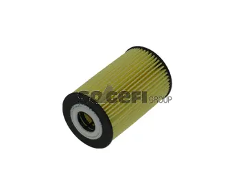 Oil Filter (CH10670ECO)