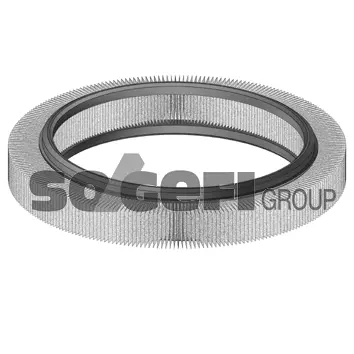 Air Filter (CA5376)