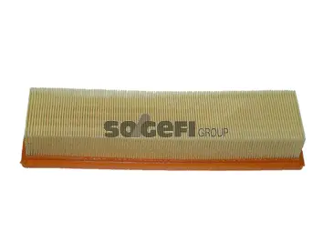 Air Filter (CA10942)