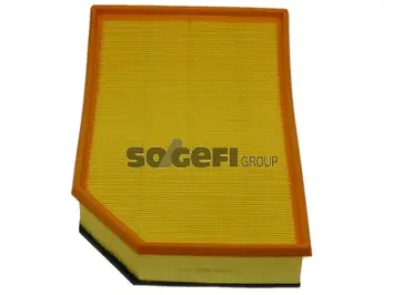 Air Filter (CA9636)
