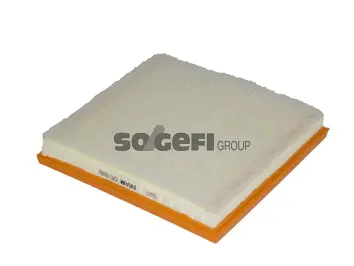 Air Filter (CA10880)