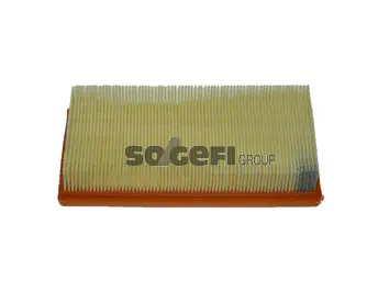 Air Filter (CA10333)