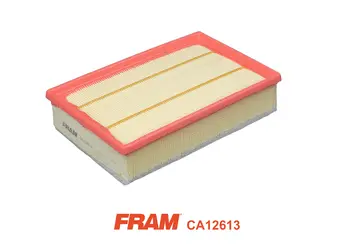 Air Filter (CA12613)