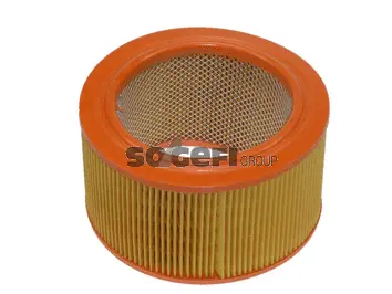 Air Filter (CA3998)