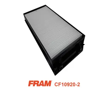 Filter, cabin air (CF10920-2)