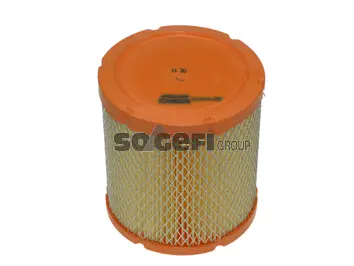 Air Filter (CA8805)