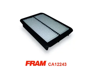Air Filter (CA12243)