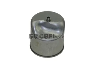 Fuel Filter (P11194)