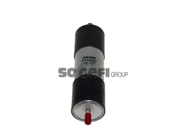 Fuel Filter (P10820)