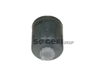 Fuel Filter (P5672)
