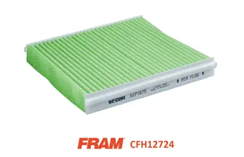 Filter, cabin air (CFH12717)