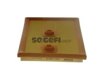 Air Filter (CA11503)