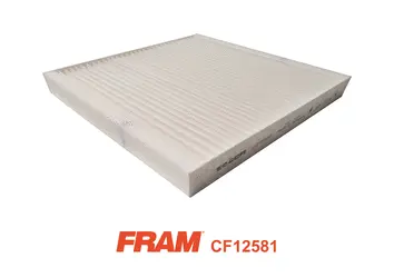 Filter, cabin air (CF12581)