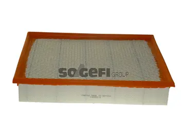 Air Filter (CA8756)