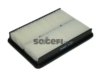 Air Filter (CA11110)