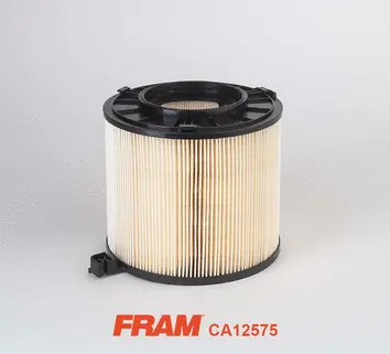 Air Filter (CA12575)