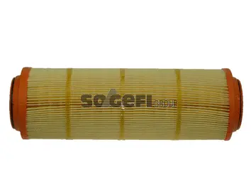 Air Filter (CA9438)