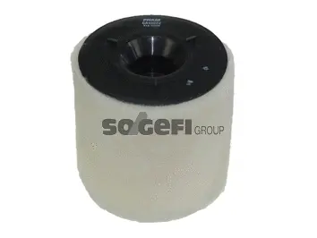 Air Filter (CA10822)