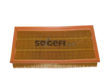 Air Filter (CA8779)