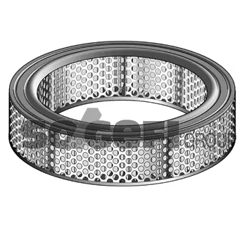 Air Filter (CA5599)