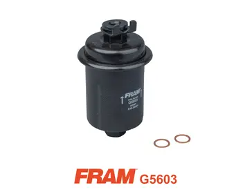 Fuel Filter (G5603)
