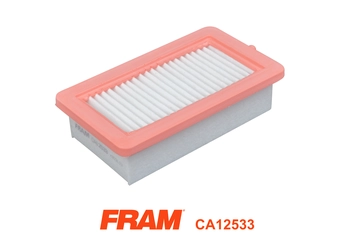 Air Filter (CA12533)