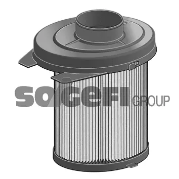 Air Filter (CA3174A)