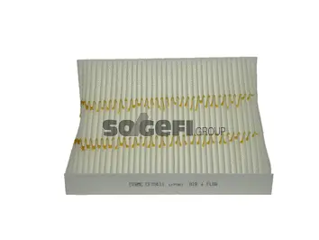 Filter, cabin air (CF10431)