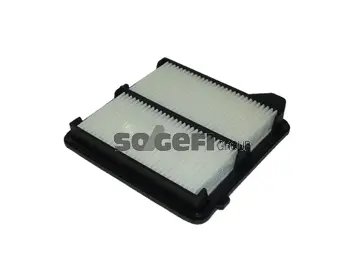 Air Filter (CA10490)