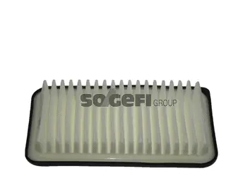 Air Filter (CA10655)