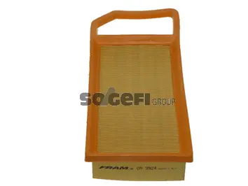 Air Filter (CA9924)