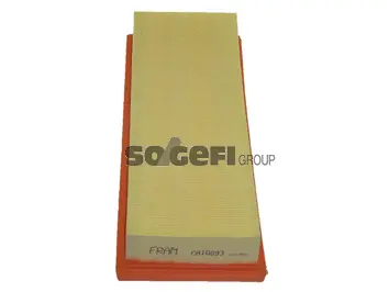 Air Filter (CA10693)