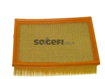 Air Filter (CA9473)