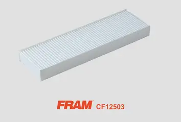 Filter, cabin air (CF12503)